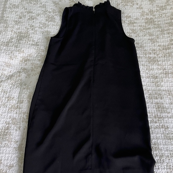 Rachel Zoe Dress - Picture 5 of 5